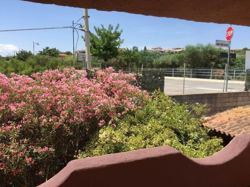 הוילה אולביה Il Fenicottero Rosa מראה חיצוני תמונה